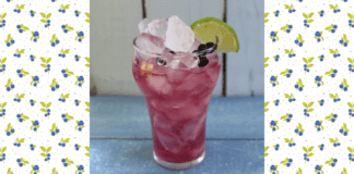 Add Fizz to Your Day with Our Blueberry Lime Soda