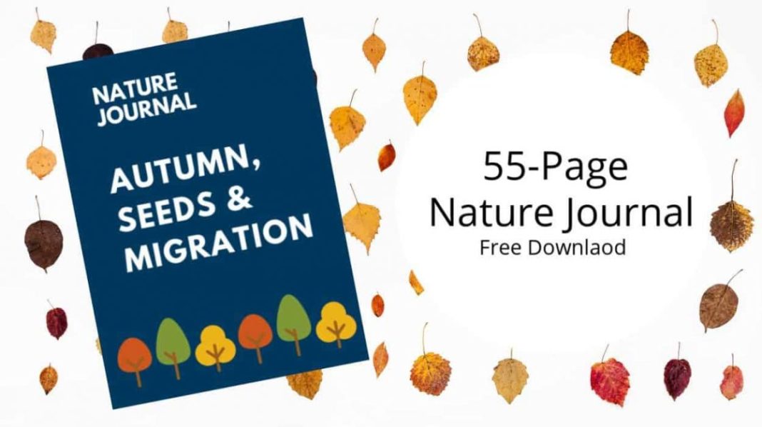 Free Download Printable Nature Journal