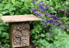 Embrace the Rustic Charm in Your Yard A rustic yard with a background of purple wildflowers and assorted foliage with a bee hotel in the foreground.