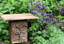 Embrace the Rustic Charm in Your Yard A rustic yard with a background of purple wildflowers and assorted foliage with a bee hotel in the foreground.