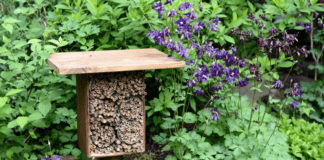 Embrace the Rustic Charm in Your Yard A rustic yard with a background of purple wildflowers and assorted foliage with a bee hotel in the foreground.